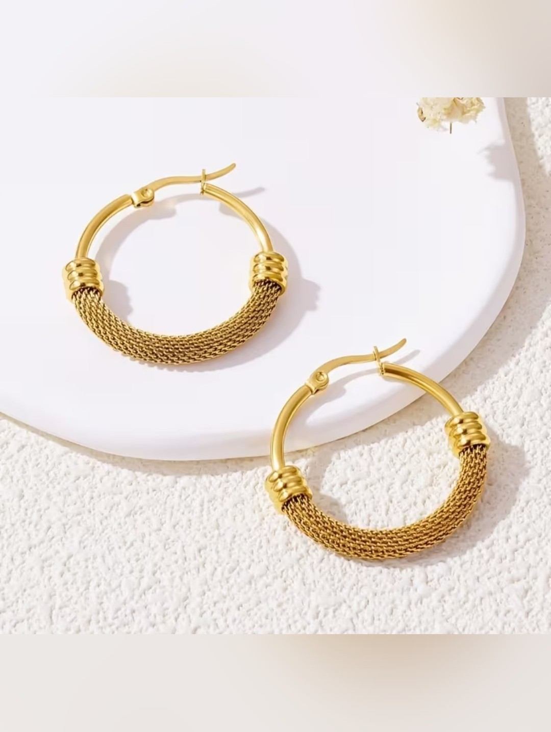 18 Kt Gold Over Titanium Earrings
